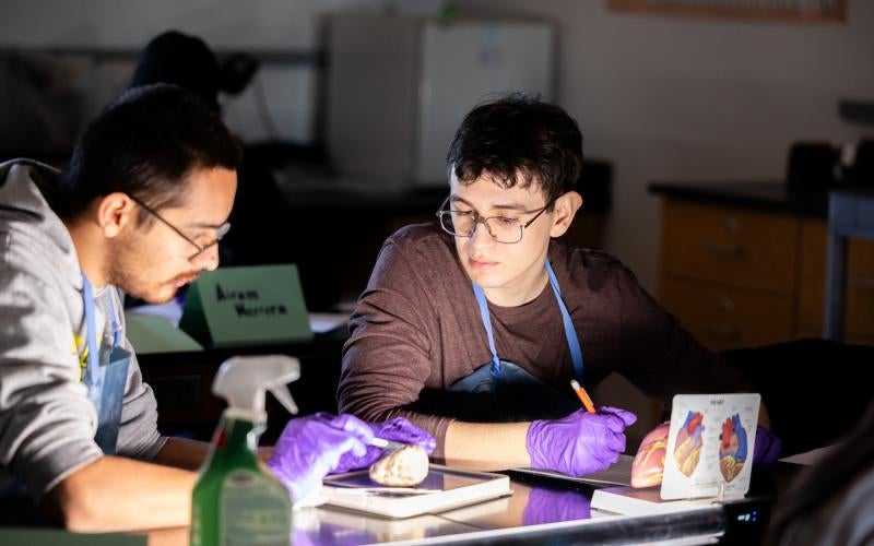 AWC students gain hands-on experience in a biology lab.