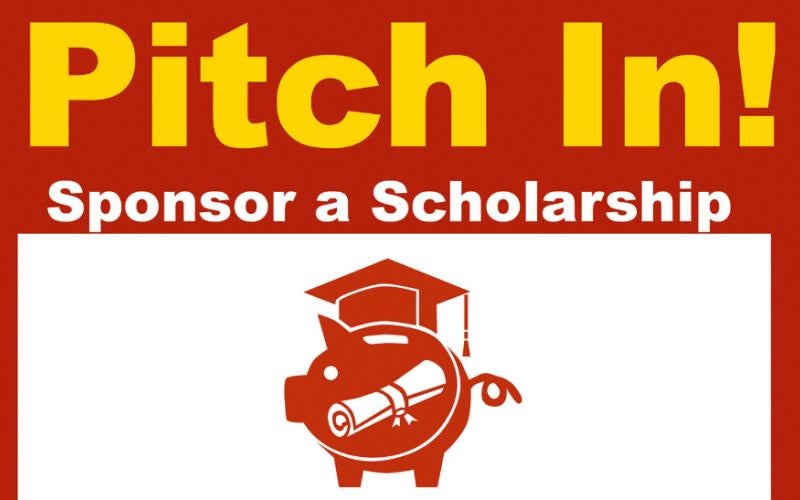 Pitch In! Partner Campaign Poster